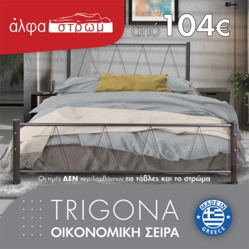 w-01-TRIGONA-015