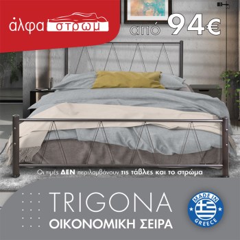 w-01-TRIGONA-01
