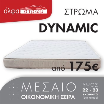 w-DYNAMIC-008