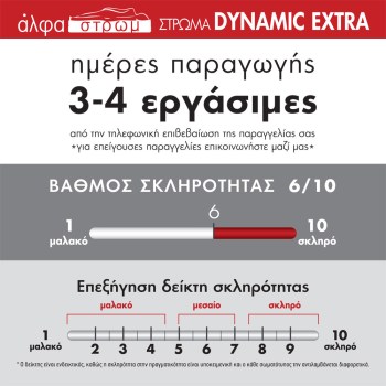 w-DYNAMIC-EXTRA-054