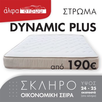 w-DYNAMIC-PLUS-003