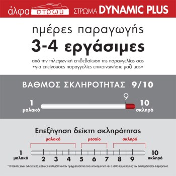 w-DYNAMIC-PLUS-054