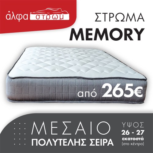 w-MEMORY-005