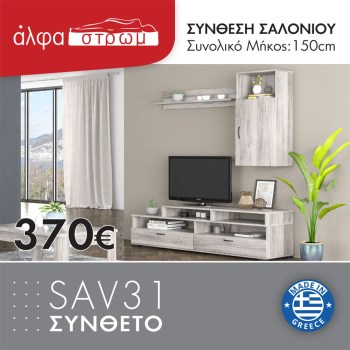 1101-SAV31