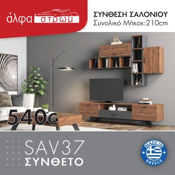 1117-SAV37