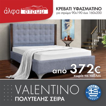 531-VALENTINO