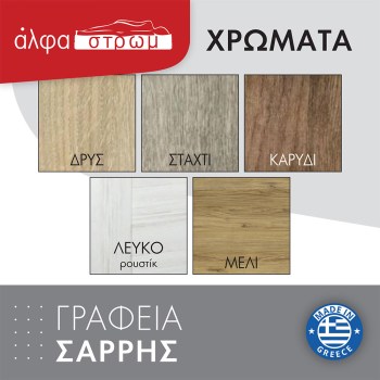 XYLA-SARRIS-GRAFEIA-1
