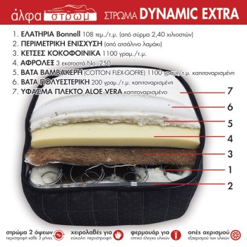 w-DYNAMIC-EXTRA-04