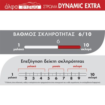 w-DYNAMIC-EXTRA-05