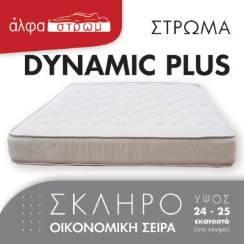 w-DYNAMIC-PLUS-01