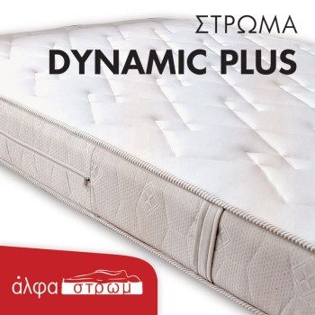 w-DYNAMIC-PLUS-02