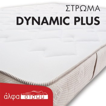 w-DYNAMIC-PLUS-03