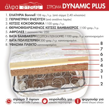 w-DYNAMIC-PLUS-04