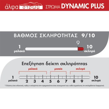 w-DYNAMIC-PLUS-05